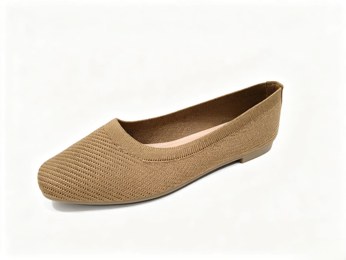 Amlee Women Flat Shoes