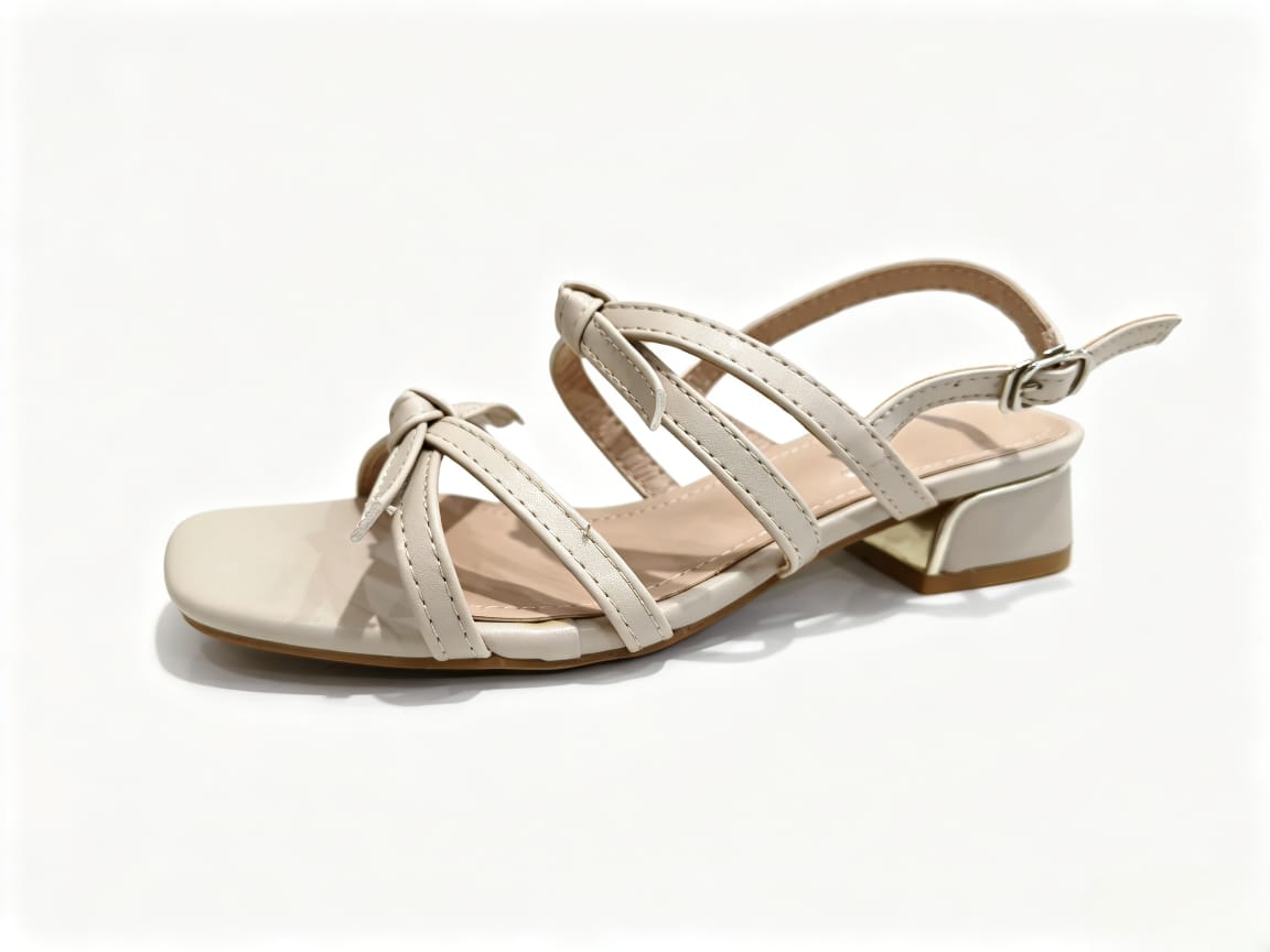 Amlee Women Classic Low Heel Shoes