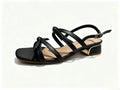 Amlee Women Classic Low Heel Shoes