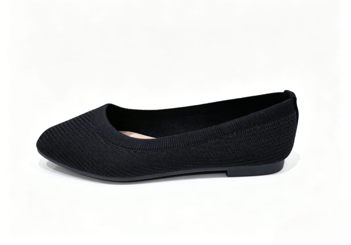 Amlee Women Flat Shoes