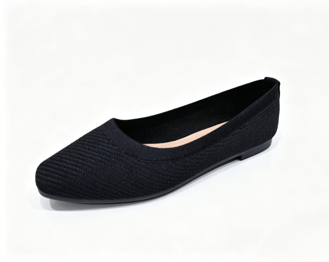 Amlee Women Flat Shoes
